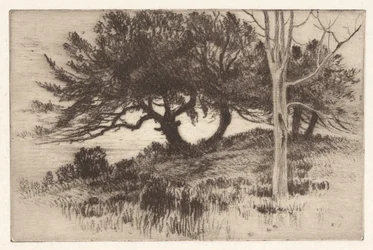 In der Nähe des Meeres
