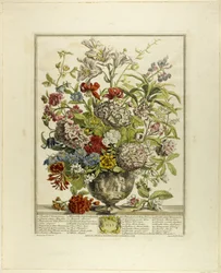 Juli, aus Zwölf Monate der Blumen