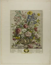 Juni, aus Zwölf Monate der Blumen