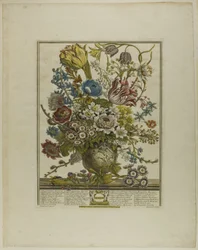 März, aus Zwölf Monate der Blumen