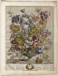 Zwölf Monate der Blumen: April, 1730