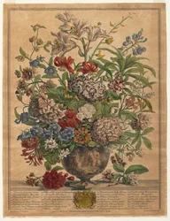 Zwölf Monate der Blumen: Juli, 1730