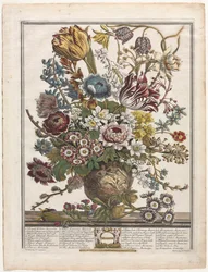 Zwölf Monate der Blumen: März
