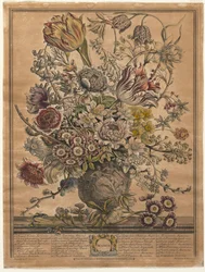 Zwölf Monate der Blumen: März
