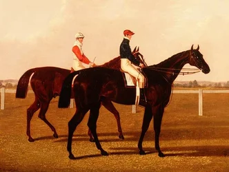 Die Rennpferde "Charles XII" und "Euclid" mit Jockeys