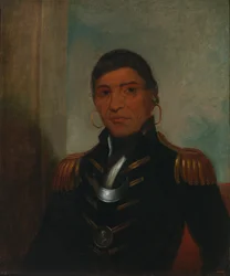 Großer Büffel Chippewa