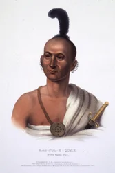 Kai-Pol-E-Quah, Weißnasenfuchs