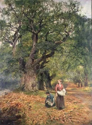 Sammeln von Brennholz