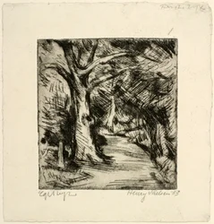Waldweg. Riis Wald