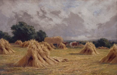 Ein Kornfeld in Harlow, Essex
