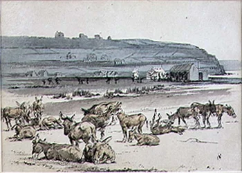 Esel auf dem Golfplatz, Illustration aus der Zeitschrift 