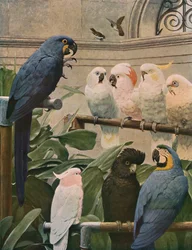 Ein Sonderausschuss, 1891, ca. 1930