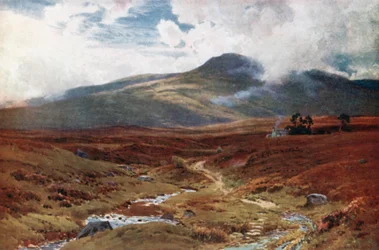 Ein Moor nahe Killin, Perthshire