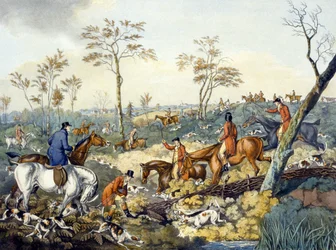 Deckung aufspüren, aus 