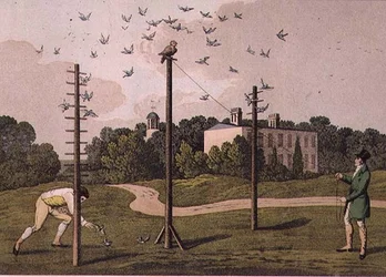 Eulerei, graviert von I. Clark, veröffentlicht von T. McLean, London