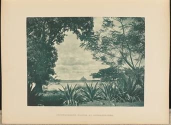 Jetawanarama Dagaba in Anuradhapura