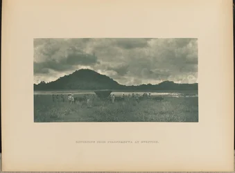 Rückkehr von Polonnaruwa bei Abenddämmerung
