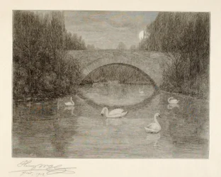 Abend, Schwanensee, Central Park, New York
