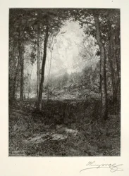 In den Adirondacks