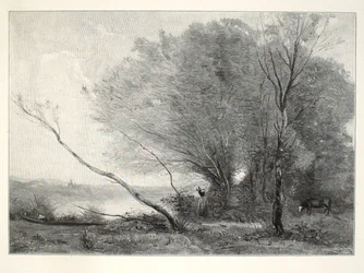 Der gebogene Baum