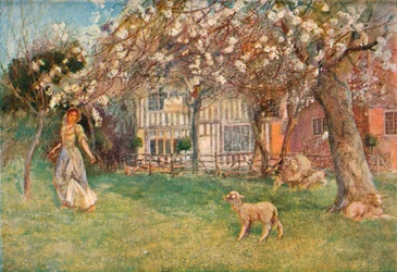 Lämmer, ca. 1904