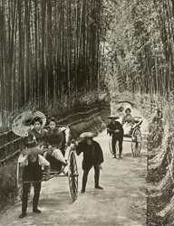 Eine Bambusallee in Kyoto