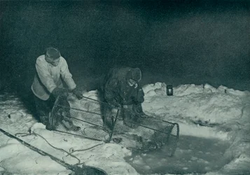 Dr. Atkinson und Clissold ziehen die Fischfalle hoch, 28. Mai 1911, 1913