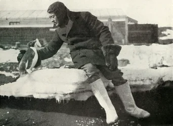 Leutnant Rennick und ein freundlicher Pinguin, 1911, 1913