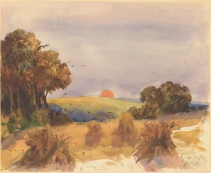 Ein Kornfeld bei Sonnenuntergang
