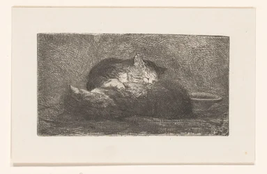 Zwei Katzen
