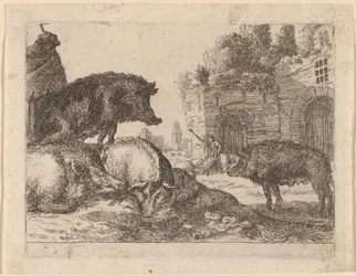 Schweine
