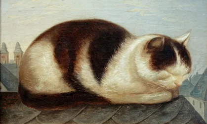 Katze