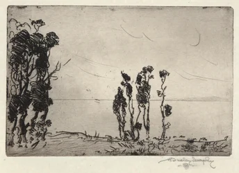 Küstenlandschaft