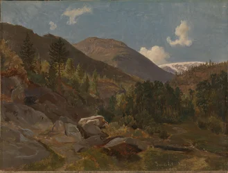 Norwegische Landschaft