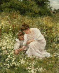 Gänseblümchen pflücken