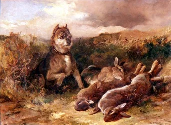 Ein West Country Terrier mit Wild