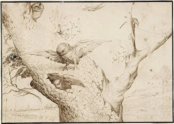 Eulennest, um 1505-10