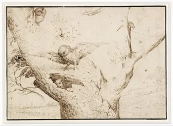 Das Eulennest