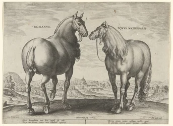 Pferd aus Rom und eine Tragstute
Pferderassen aus den königlichen Ställen von Don Juan von Österreich (Serientitel)
