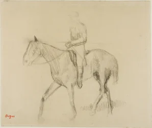 Pferd und Reiter