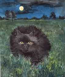Die Katze und der Mond