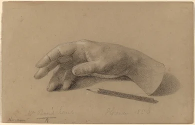 Studie einer Hand