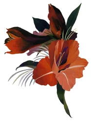 Eine imaginäre Blume basierend auf einer Amaryllis