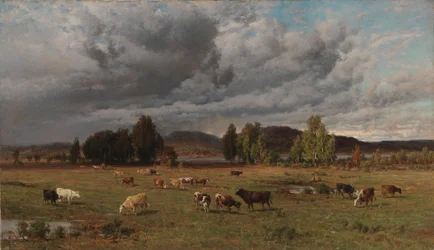 Weide in Häme