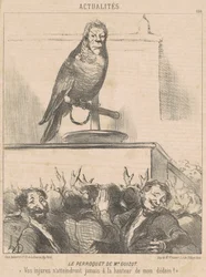 Der Papagei von M. Guizot