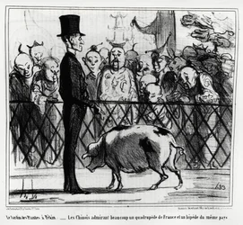 Der Garten der Pflanzen in Peking: die Chinesen bewundern ein vierfüßiges Tier aus Frankreich und ein Piepsen aus demselben Land. Illustration von Honoré Daumier (1808-1879), veröffentlicht in Charivari, China Actualités