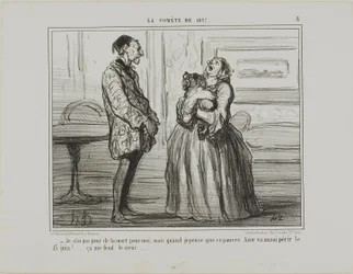 „- Ich habe keine Angst um mich, aber wenn ich an den armen Azor denke, der am 13. Juni sterben wird... es bricht mir einfach das Herz,“ Platte 8 aus La Comète De 1857