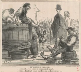Eindrücke der Weinlese