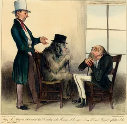 Sehen Sie, Herr Mayeux, dieses Tier liegt zwischen Mensch und Affe - Um Gottes willen! Er kann sich rühmen, hässlich zu sein! Karikatur von Honore Daumier aus 
