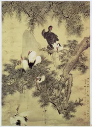 Acht Rotkronenreiher in einem Kiefernbaum, 1754
